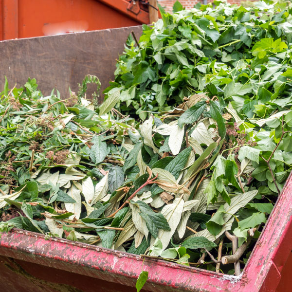 dechets verts